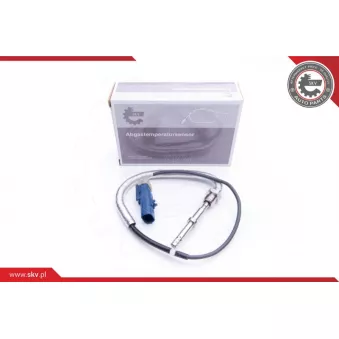 Capteur, température des gaz ESEN SKV 30SKV200