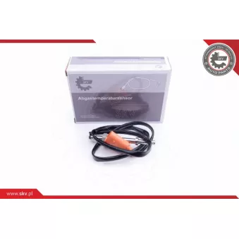 Capteur, température des gaz ESEN SKV 30SKV203