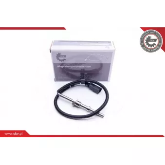 Capteur, température des gaz ESEN SKV 30SKV204