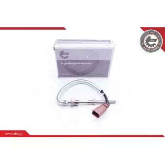 Capteur, température des gaz ESEN SKV 30SKV205