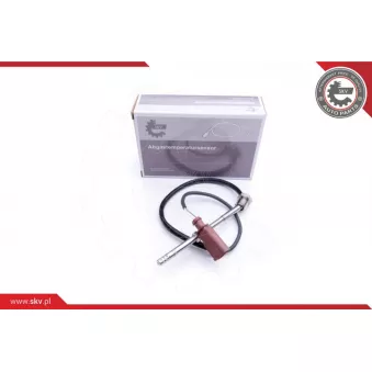 Capteur, température des gaz ESEN SKV 30SKV206