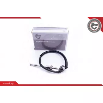Capteur, température des gaz ESEN SKV 30SKV208