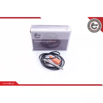 Capteur, température des gaz ESEN SKV 30SKV209
