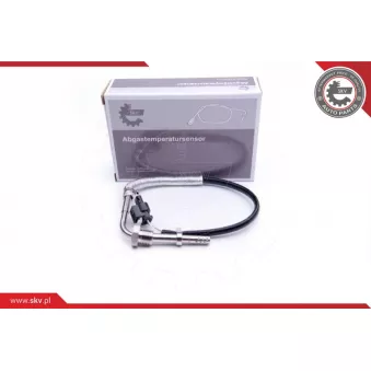 Capteur, température des gaz ESEN SKV 30SKV211