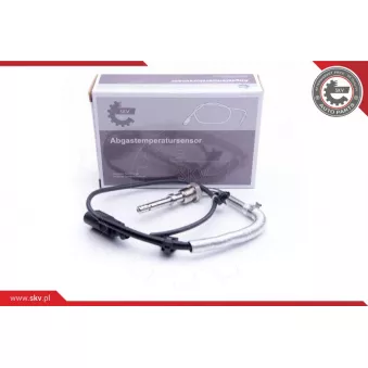 Capteur, température des gaz ESEN SKV 30SKV213