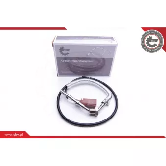Capteur, température des gaz ESEN SKV 30SKV214
