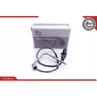 Capteur, température des gaz ESEN SKV 30SKV216