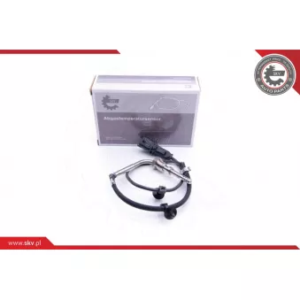 Capteur, température des gaz ESEN SKV 30SKV223