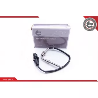 Capteur, température des gaz ESEN SKV 30SKV224