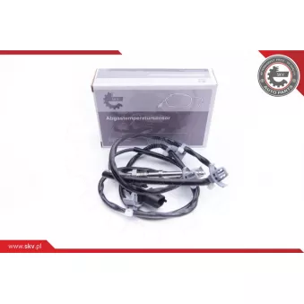 Capteur, température des gaz ESEN SKV 30SKV225