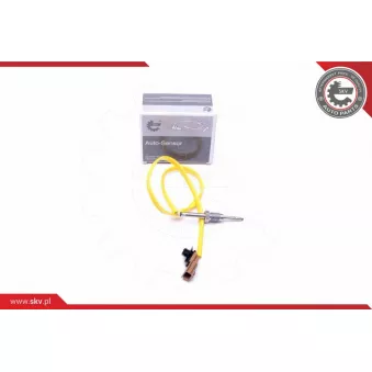 Capteur, température des gaz ESEN SKV 30SKV226