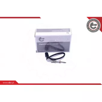 Capteur, température des gaz ESEN SKV 30SKV232