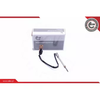 Capteur, température des gaz ESEN SKV 30SKV234
