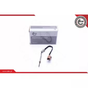 Capteur, température des gaz ESEN SKV 30SKV235