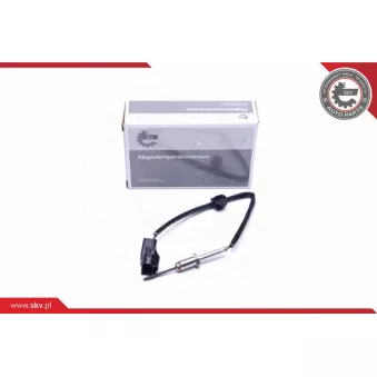 Capteur, température des gaz ESEN SKV 30SKV237