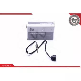 Capteur, température des gaz ESEN SKV 30SKV240
