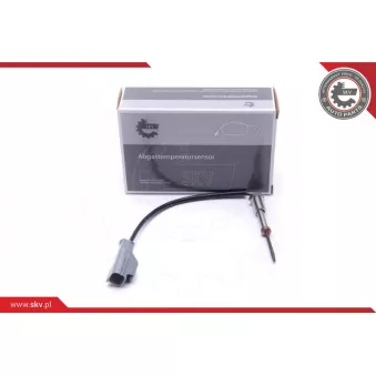 Capteur, température des gaz ESEN SKV