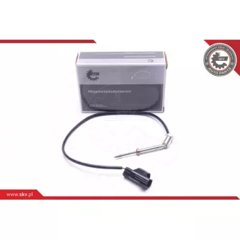Capteur, température des gaz ESEN SKV 30SKV244