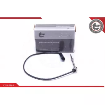 Capteur, température des gaz ESEN SKV 30SKV246