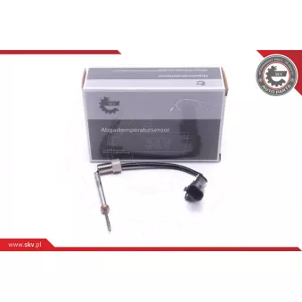 Capteur, température des gaz ESEN SKV 30SKV247