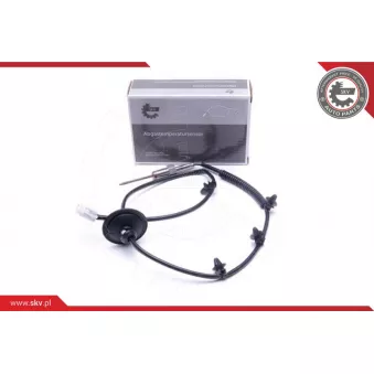 Capteur, température des gaz ESEN SKV 30SKV248