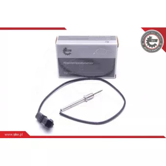 Capteur, température des gaz ESEN SKV 30SKV251