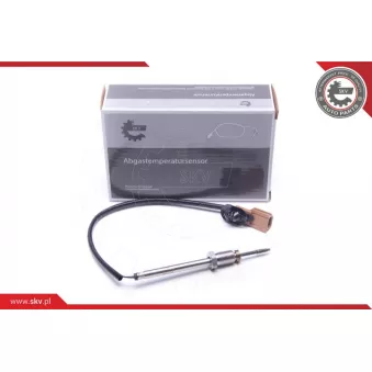 Capteur, température des gaz ESEN SKV 30SKV252