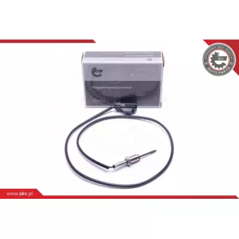 Capteur, température des gaz ESEN SKV 30SKV253
