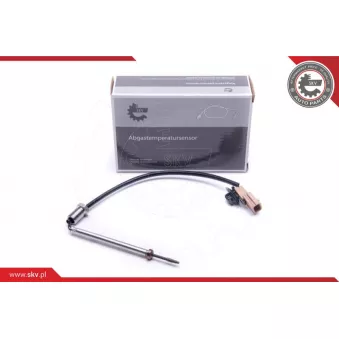 Capteur, température des gaz ESEN SKV 30SKV254