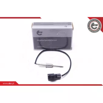 Capteur, température des gaz ESEN SKV 30SKV255