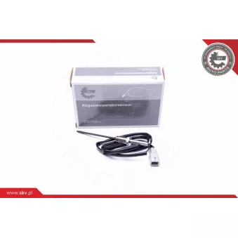 Capteur, température des gaz ESEN SKV 30SKV257