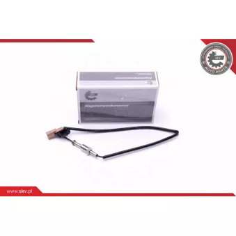 Capteur, température des gaz ESEN SKV 30SKV258