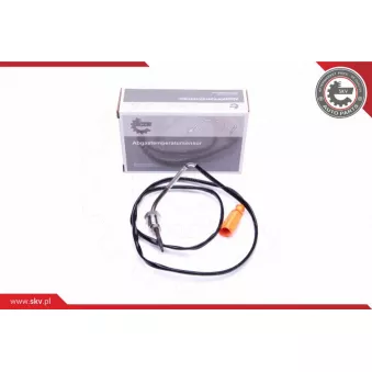 Capteur, température des gaz ESEN SKV 30SKV263