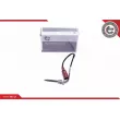 Capteur, température des gaz ESEN SKV 30SKV264 - Visuel 1