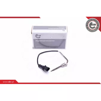 Capteur, température des gaz ESEN SKV 30SKV270