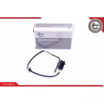 Capteur, température des gaz ESEN SKV 30SKV273