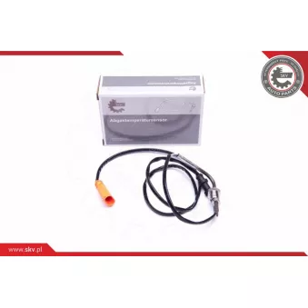 Capteur, température des gaz ESEN SKV 30SKV275