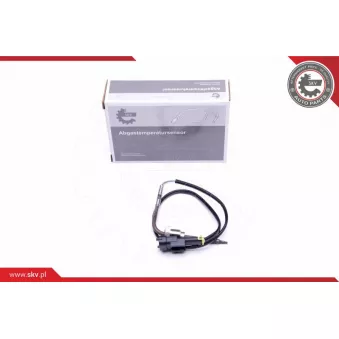 Capteur, température des gaz ESEN SKV 30SKV276