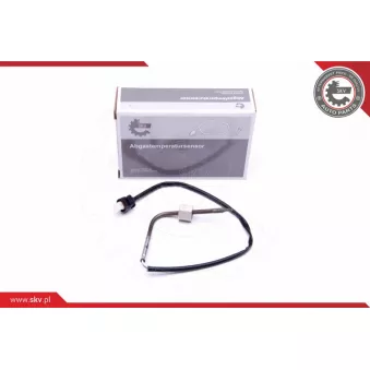 Capteur, température des gaz ESEN SKV 30SKV278