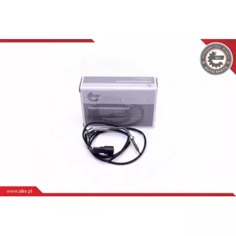 Capteur, température des gaz ESEN SKV 30SKV284