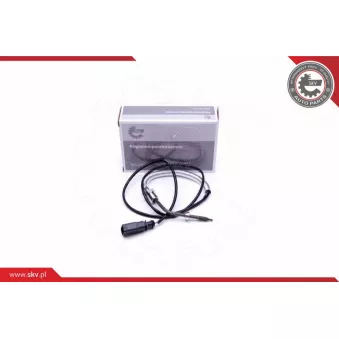 Capteur, température des gaz ESEN SKV 30SKV287