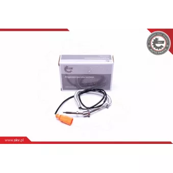 Capteur, température des gaz ESEN SKV 30SKV288