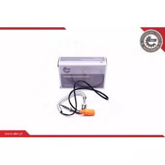 Capteur, température des gaz ESEN SKV 30SKV290