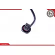 Capteur, température des gaz ESEN SKV 30SKV291 - Visuel 3