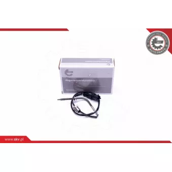 Capteur, température des gaz ESEN SKV 30SKV293