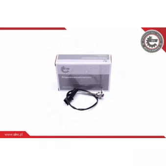 Capteur, température des gaz ESEN SKV 30SKV294