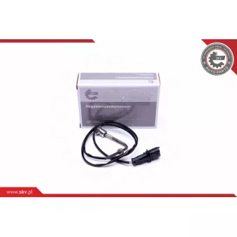 Capteur, température des gaz ESEN SKV 30SKV299