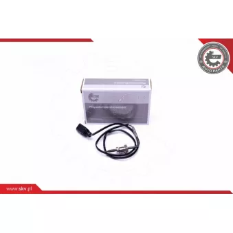 Capteur, température des gaz ESEN SKV 30SKV300