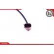 Capteur, température des gaz ESEN SKV 30SKV301 - Visuel 3