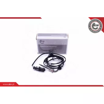 Capteur, température des gaz ESEN SKV 30SKV303